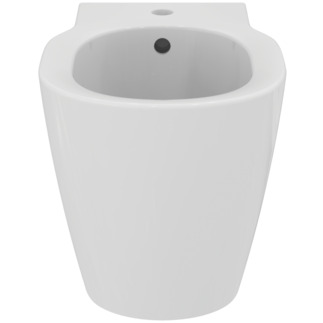 Multibrand_Multisuite_Multiproduct_Cuto_NN_IS;Concept;E799401;ASH;EditR;S088301;vcE7994;fs-bidet-btw;1th;of;Front-View